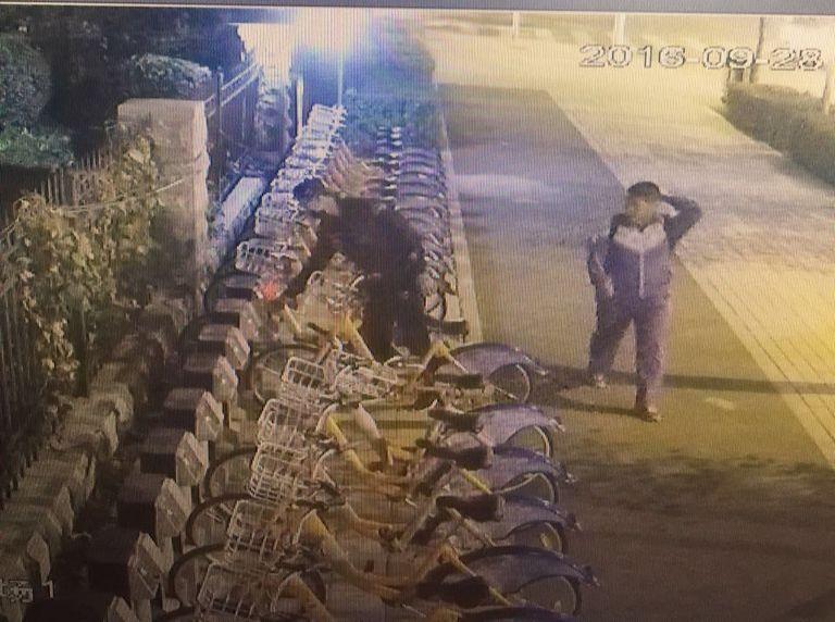 mg不朽情缘(中国)官方网站