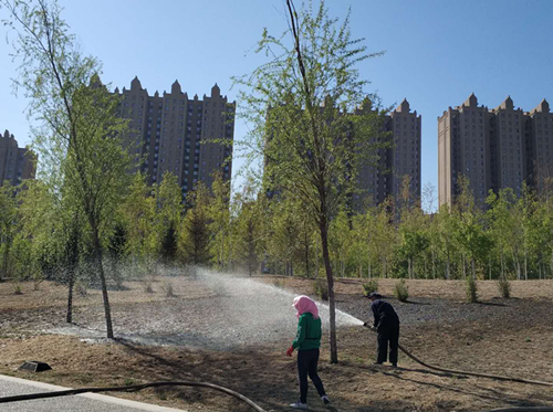 mg不朽情缘(中国)官方网站