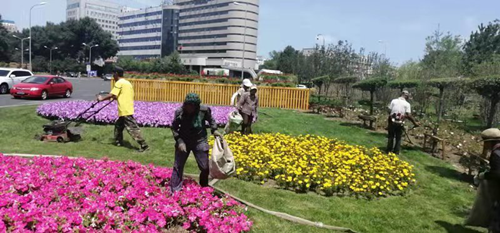 mg不朽情缘(中国)官方网站