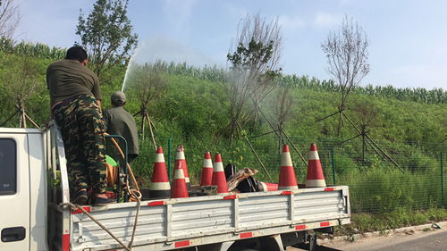 mg不朽情缘(中国)官方网站