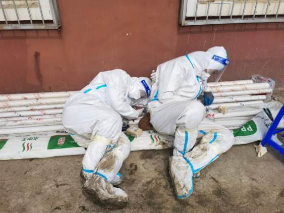 mg不朽情缘(中国)官方网站