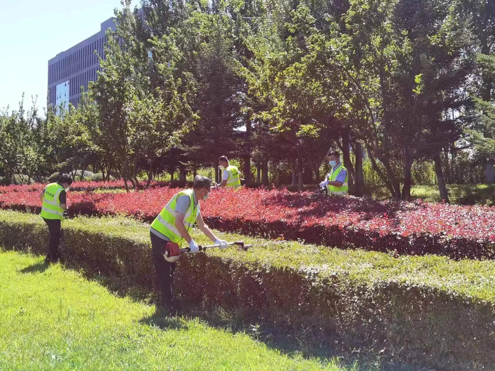 mg不朽情缘(中国)官方网站