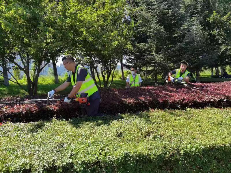 mg不朽情缘(中国)官方网站