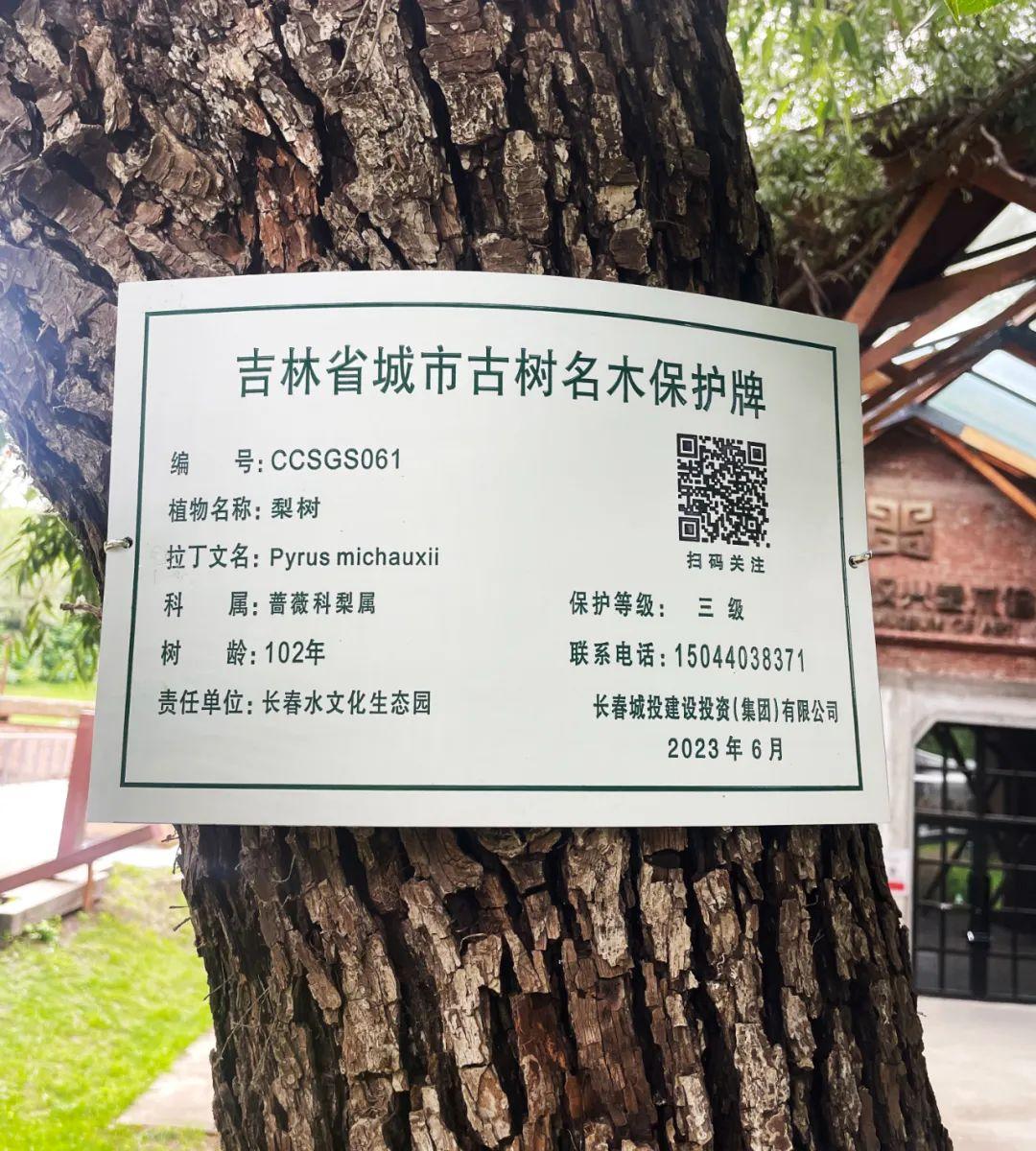 mg不朽情缘(中国)官方网站