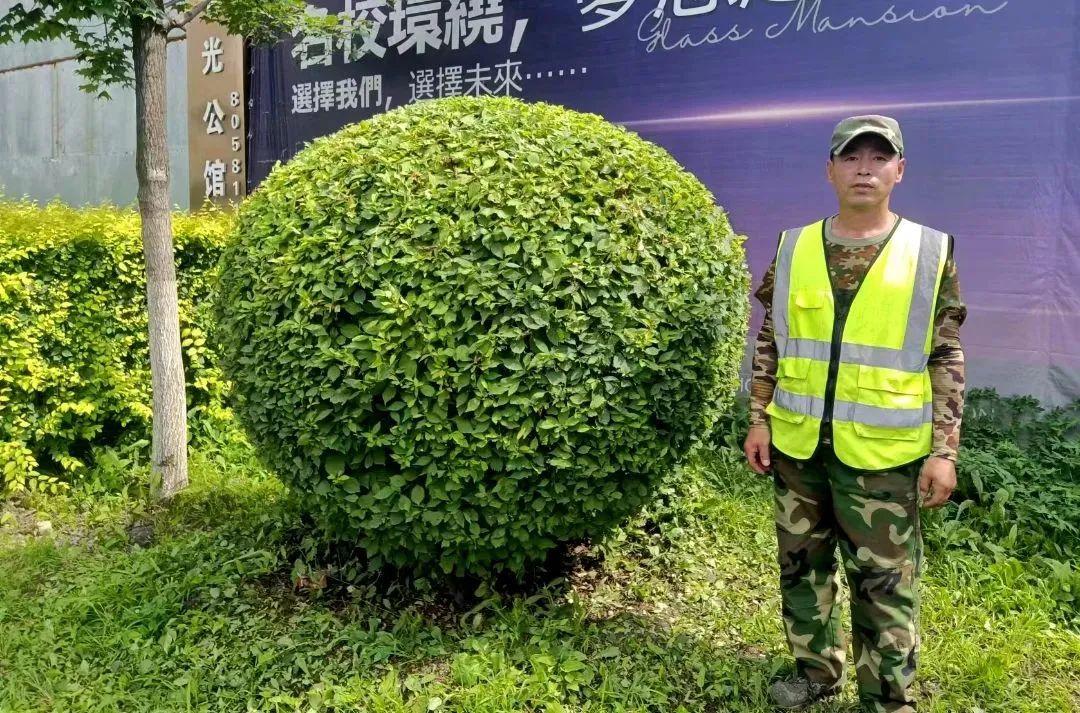 mg不朽情缘(中国)官方网站