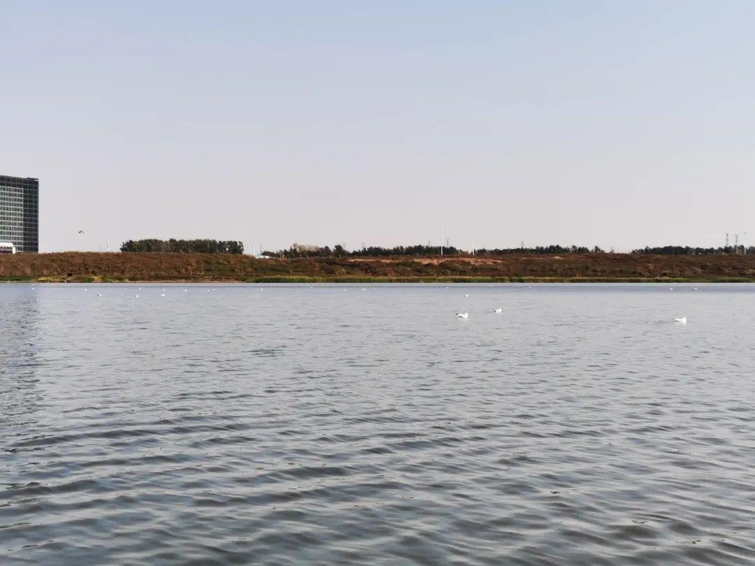 mg不朽情缘(中国)官方网站